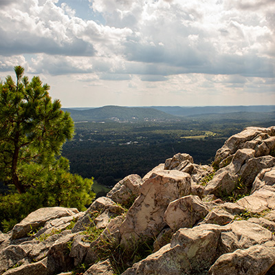 Arkansas outdoors